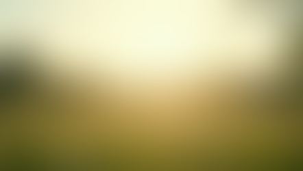 Low-Cost Tools for Enhancing Your Parasympathetic Nervous System Recovery