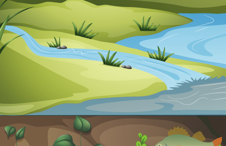 fresh water.gif