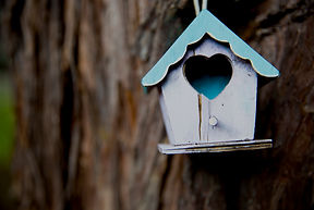 Birdhouse.jpg
