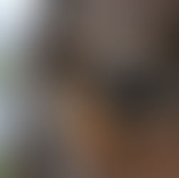 נקודת המבט של הסוס - העדפות וזיהוי אנשים