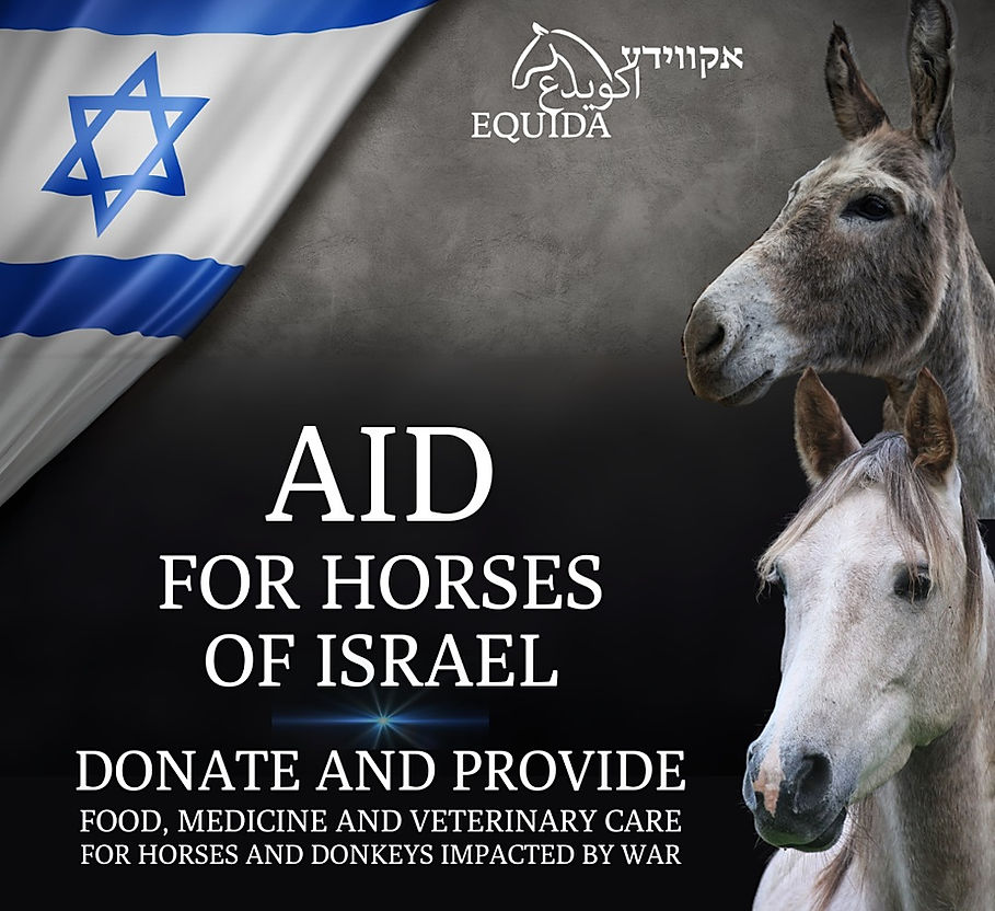 Equida-Aid for Horses of Israel EN3.jpg