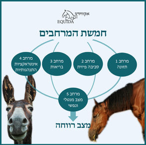 רווחת סוסים וחמורים - חמשת המרחבים (דומיינים)