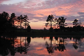 pine lake sunset 2.jpeg