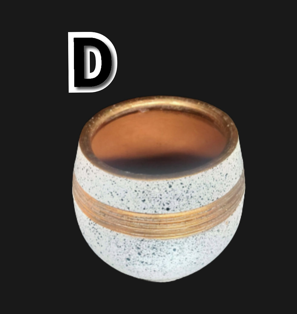 Thumbnail: Elegant Clay Pot