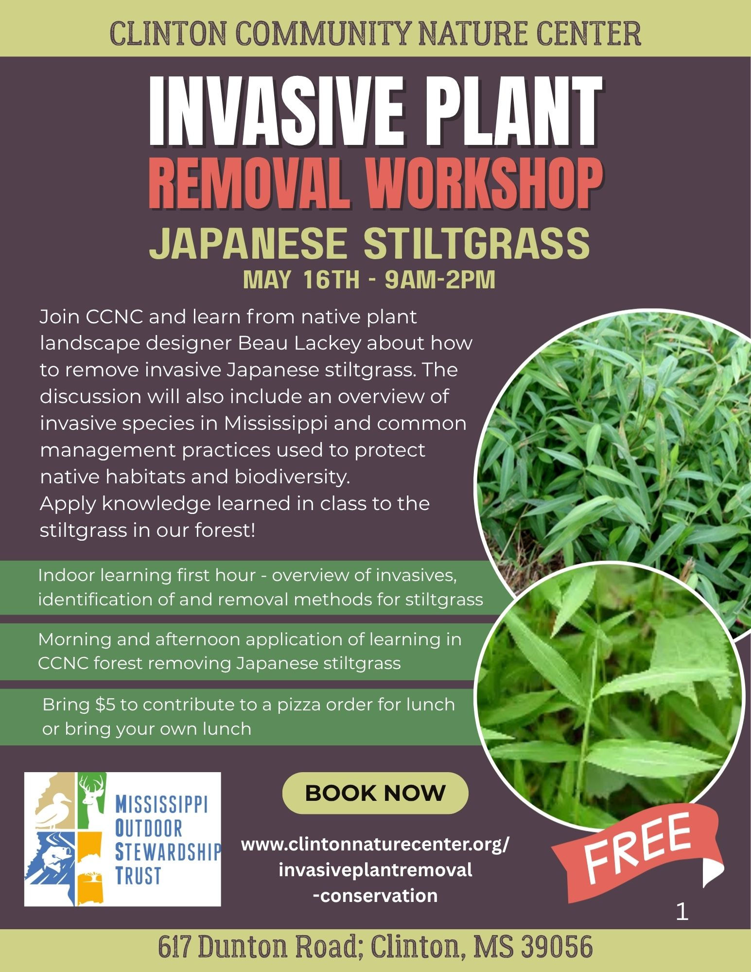 Invasive Plant Removal Workshop