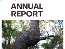 CCNC 2024 Annual Report