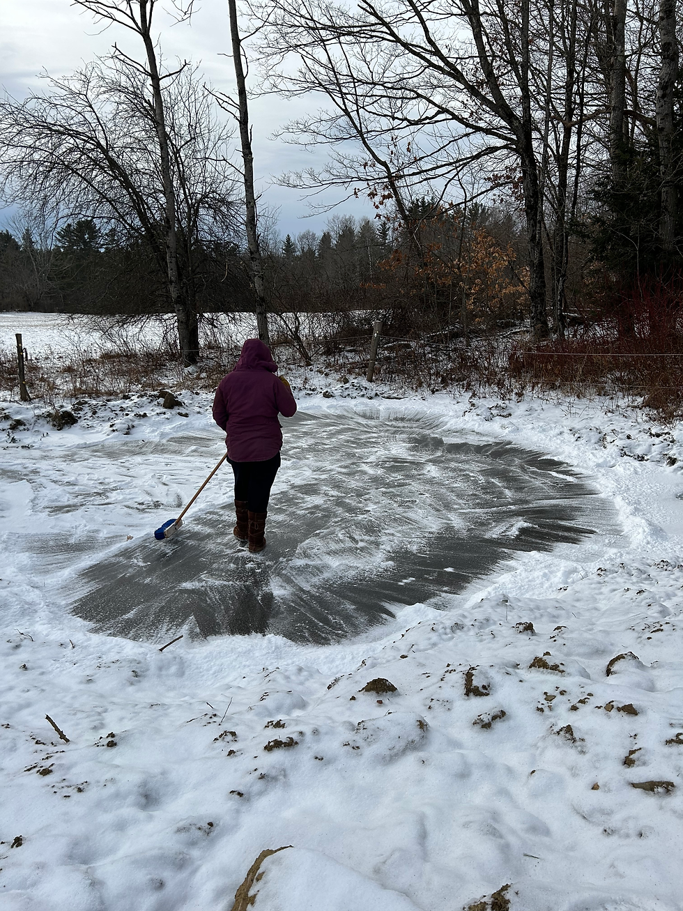 One of our Holiday tasks was making an ice skating pond.