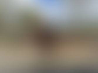 View from the Farm: May 2026