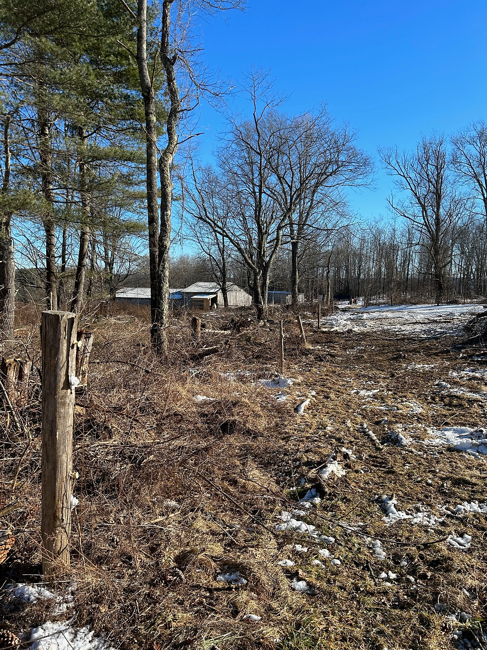 Clearing a few fence lines too, while we're at it.