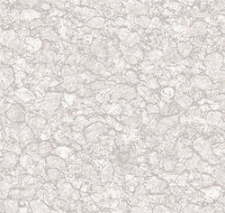 65409-1 ļķ―š Č­ĀĖÆŪ