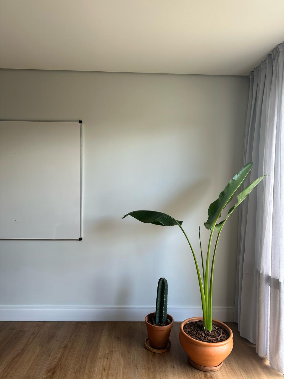 PISO VINÍLICO DE PVC EMBAÚBA — foto 8