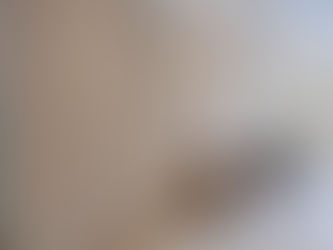 PAPEL DE PAREDE FLORAL