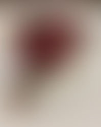 TARTARE DI MANZO POLVERE DI PEPE E CAFFE presso @tuscanbistro