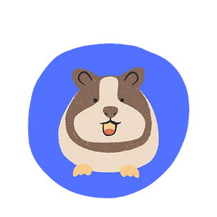 FriendsWorld Character: ZoomZoom