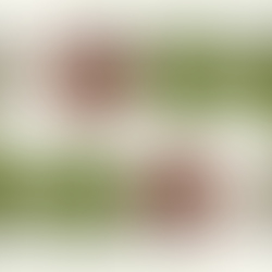 Deinen Energiecode entschlüsseln: Wie ein Leben im Einklang mit den Jahreszeiten deine Vitalität steigert