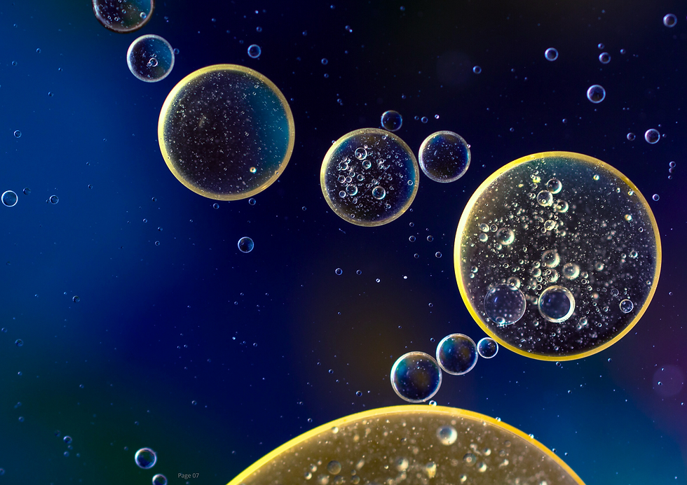 Superpower Erneuerung: Das Wunder der Natur