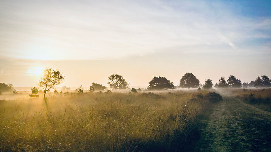 Green Modern Minimalist Ecosystem Presentation.jpeg