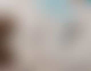 護照辦理的類型解析:從申請到過期的全面指南