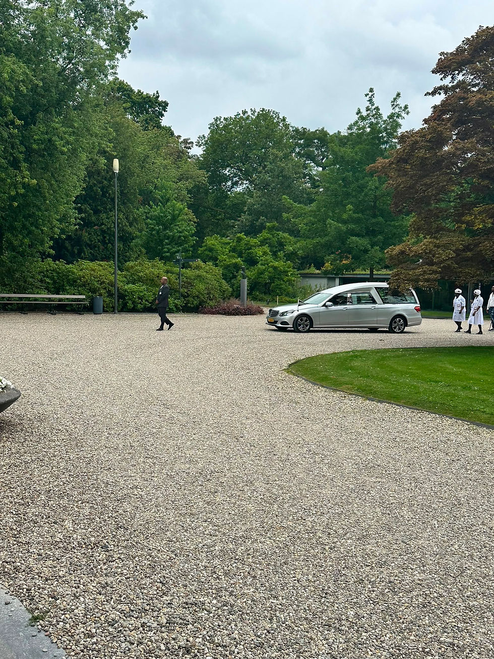 PHOTO-2026-07-08-16-09-29.jpg