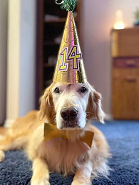 CustomPetmemorials-SablanCeramics.jpg