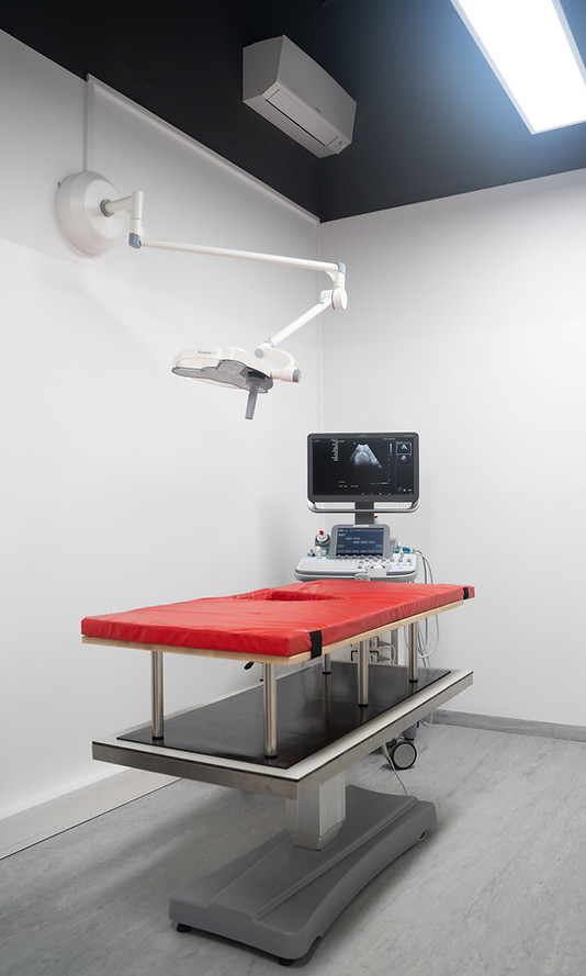 VIENNA VET, Tierarztpraxis 1030, Tierärztliche Ordination, modernste Ausstattung und bildgebende Verfahren, Chirurgie, Orthopädie, CT, Ultraschall, Endoskopie, Zahnröntgen