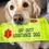 Thumbnail: OFF DUTY Embroidered Lead Slip Cover