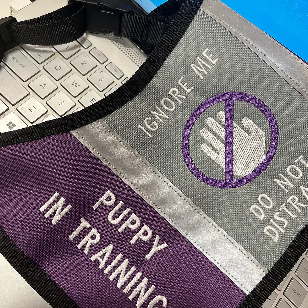 Thumbnail: Custom Embroidered Working Vest