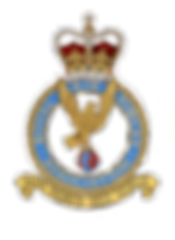 RAFA%20Logo_edited.png