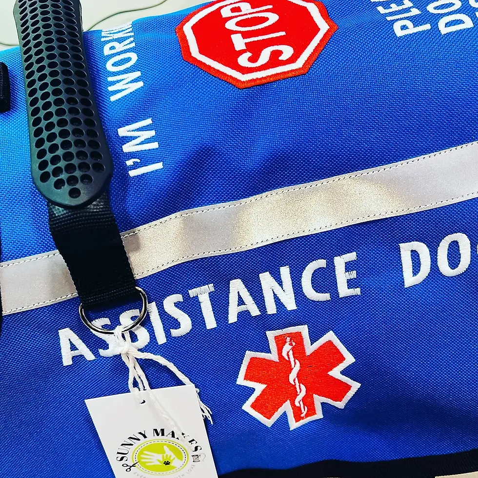 Thumbnail: Custom Embroidered Working Vest