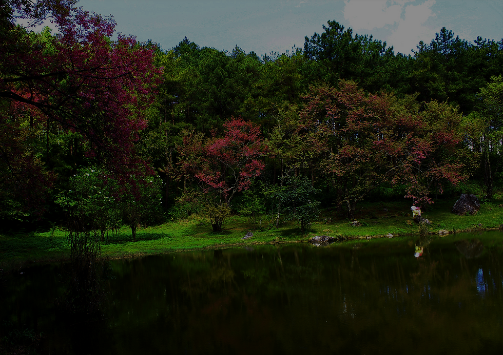 IMAGEN ORIGINAL PAISAJE_edited_edited