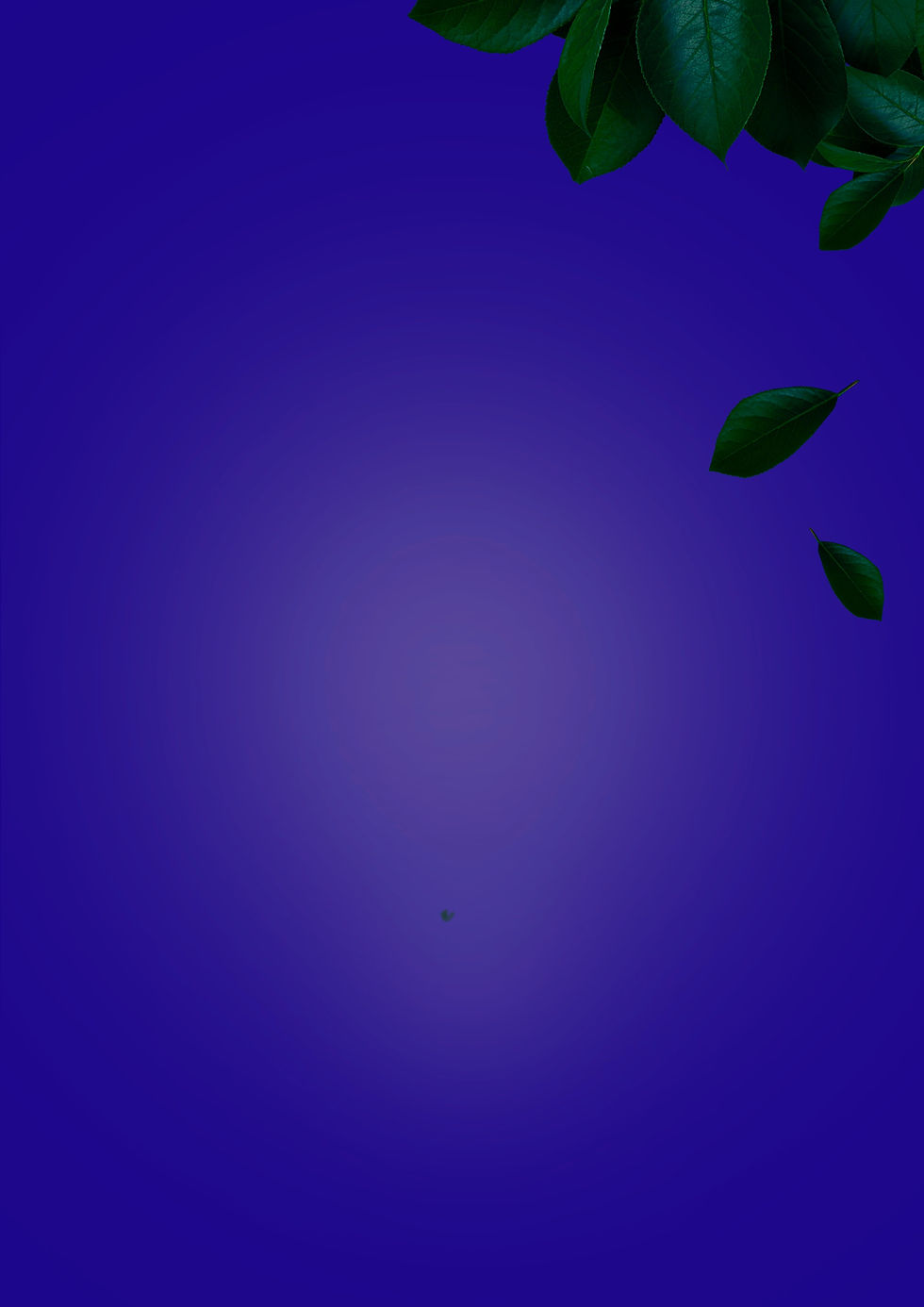 HOJAS PARTE SUPERIOR_edited