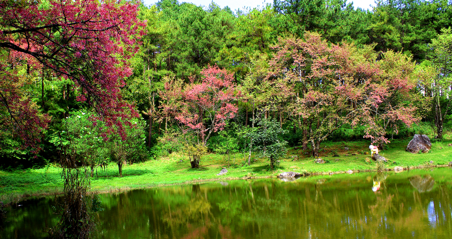 IMAGEN ORIGINAL PAISAJE