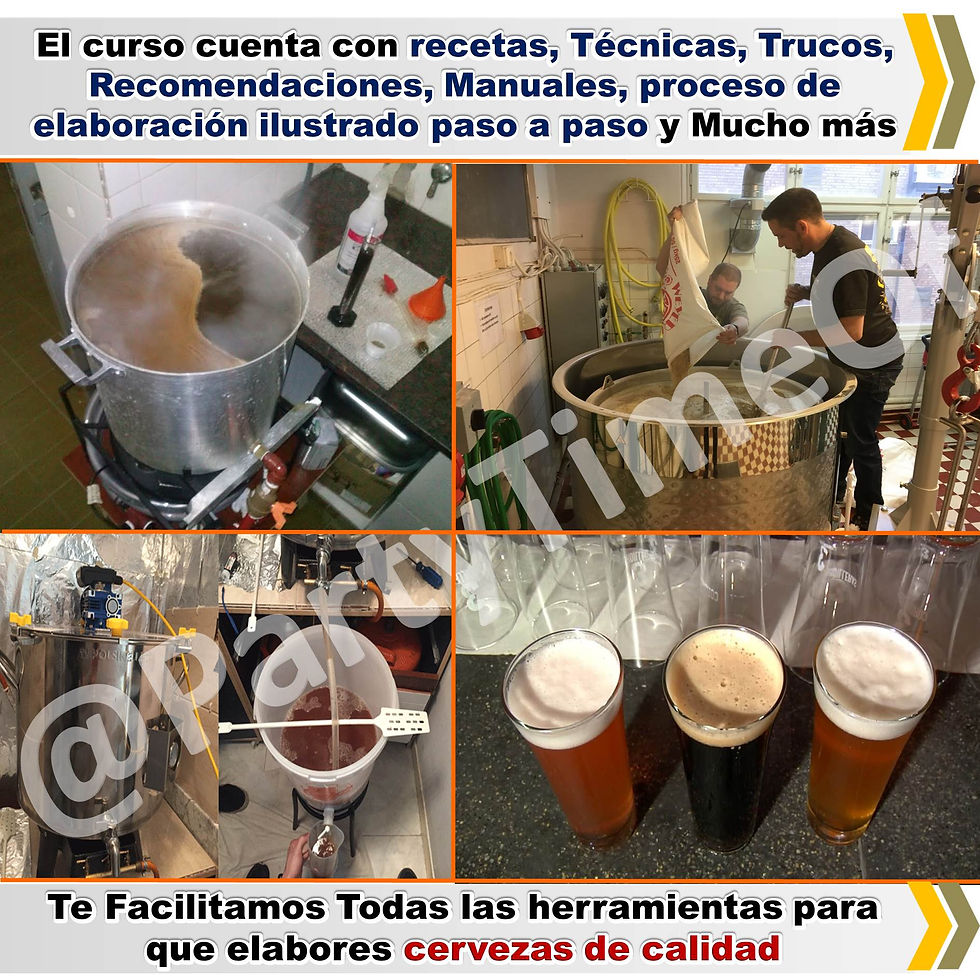 Miniatura: Curso: Aprende A Elaborar Cervezas Artesanales Caseras