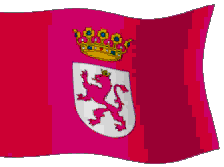 BanderaLeon1.gif