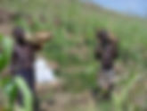20. The importance of oral strategies to reach people in South Sudan