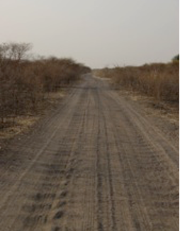 Picking True from False prophets