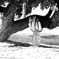 When you need that helping hand!_edited.
