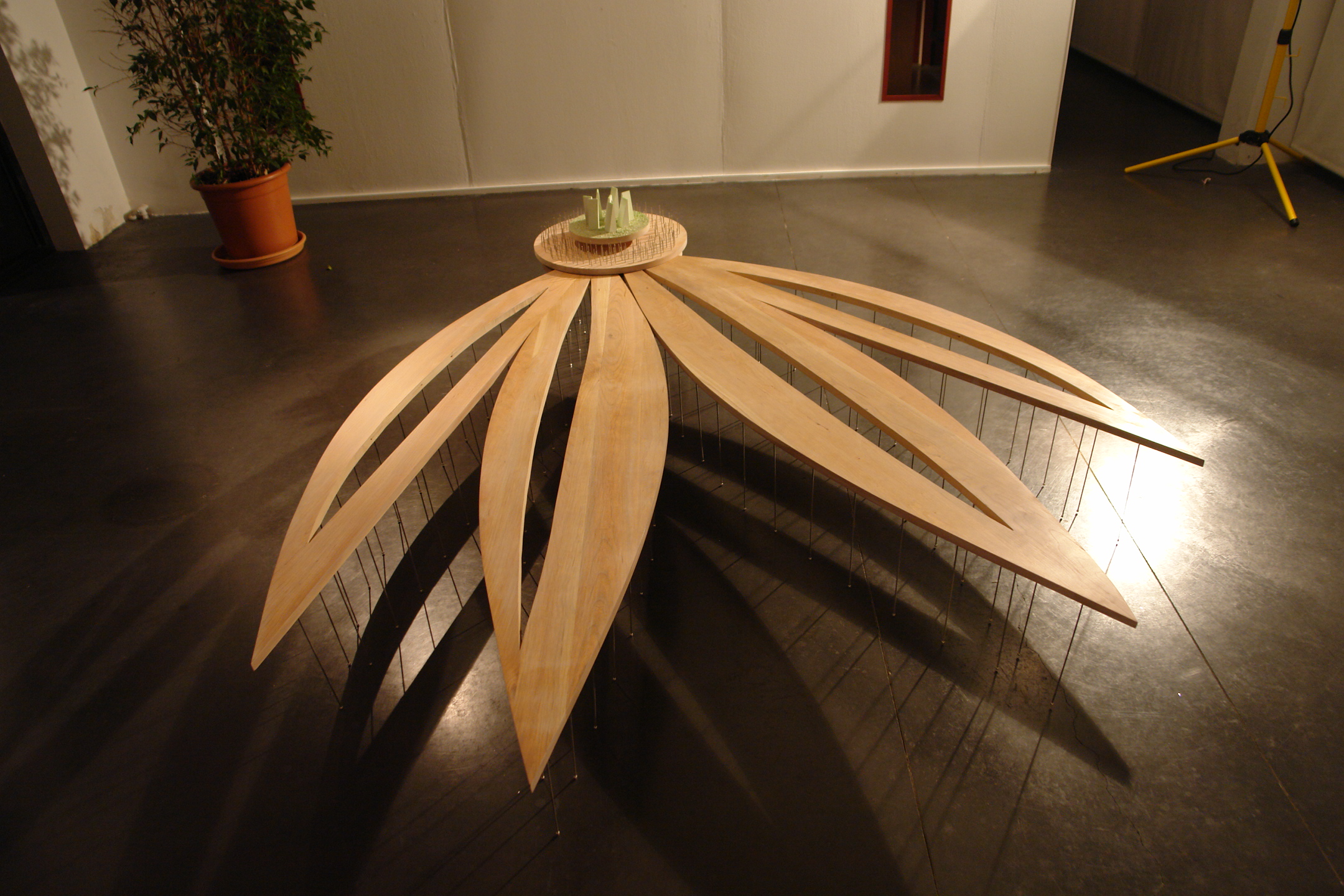 Floating Lotus Petals 2