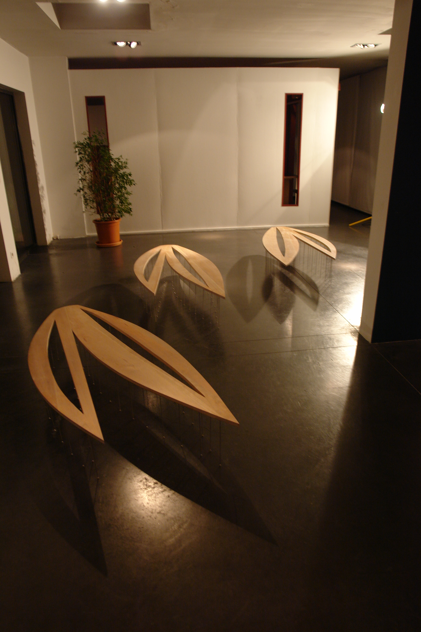 Floating Lotus 3 Petals