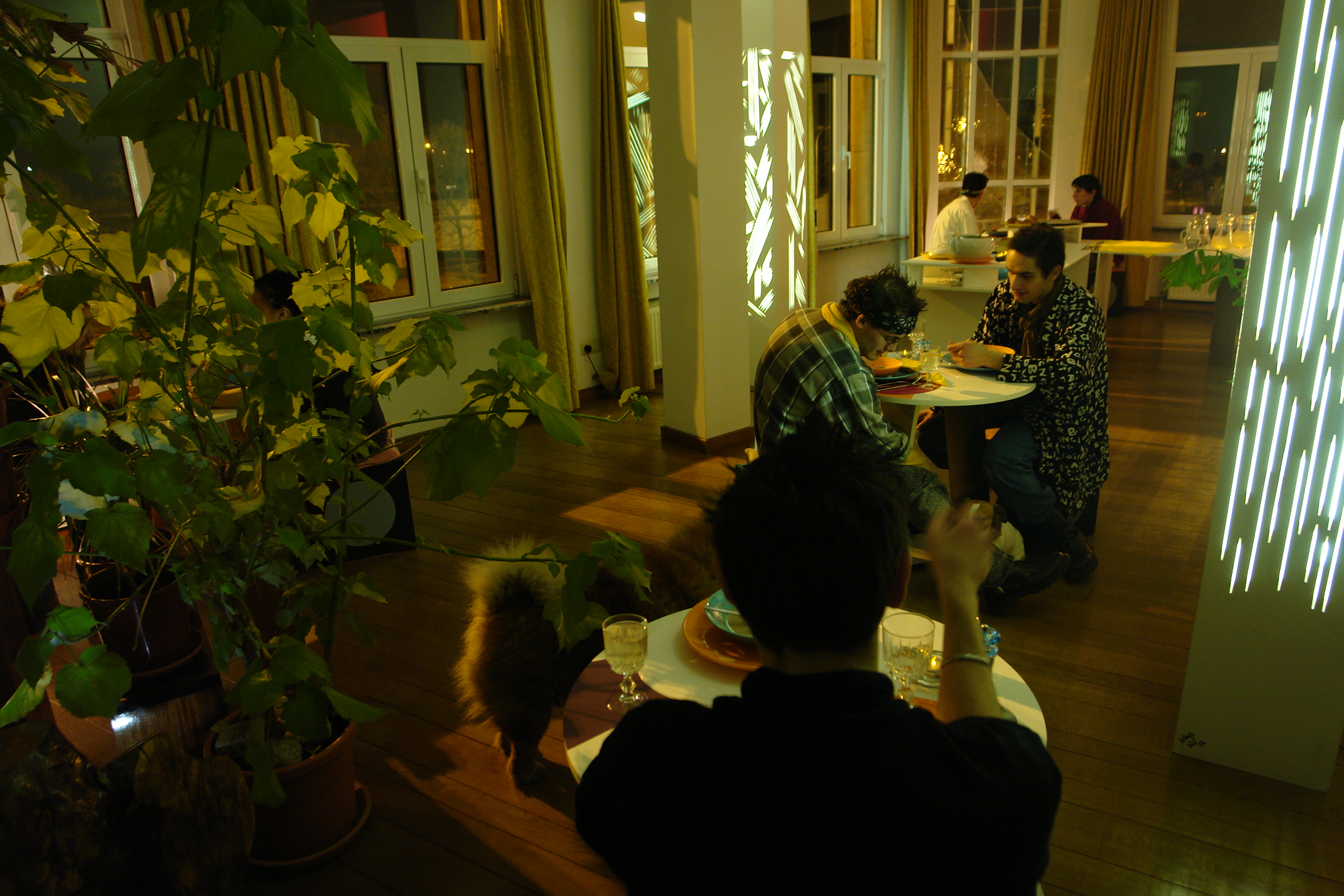 Peace Cafe