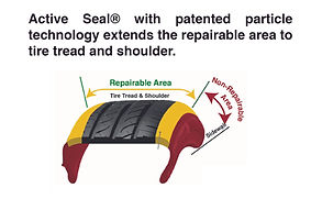 strength of active seal-04.jpg