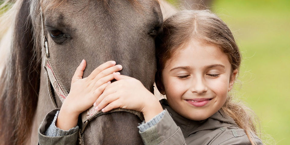 Horse.jpg