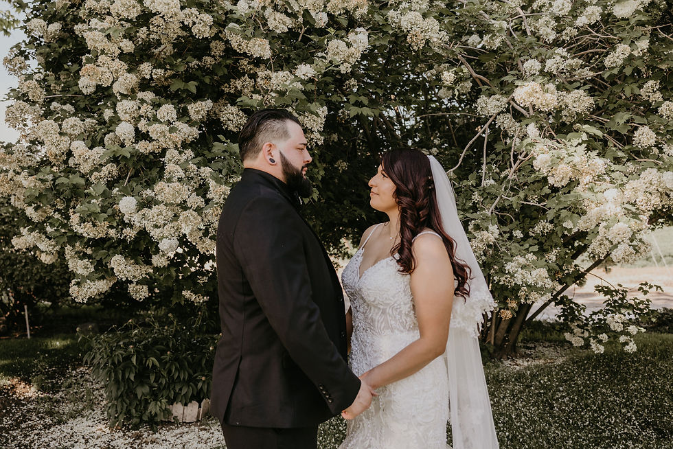 Eric and Rosio's wedding at Carpenter Ranches