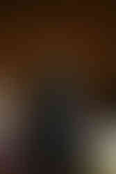 Man speaking into microphone during a wedding ceremony. Leah and Anthony's Summer Wedding.