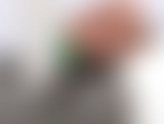 Nashville Real Estate Agent: How it works!