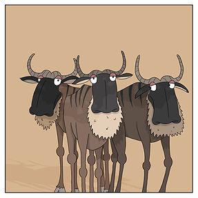 Fun facts about the Great Migration of Wildebeest