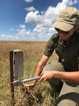 Camera Trap work Serengeti.jpeg