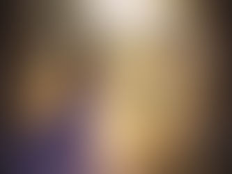 Snežana Ćurčić: U carstvu ljubavi