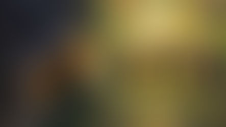 Milena Lutovac: Princeza i čarobni svet