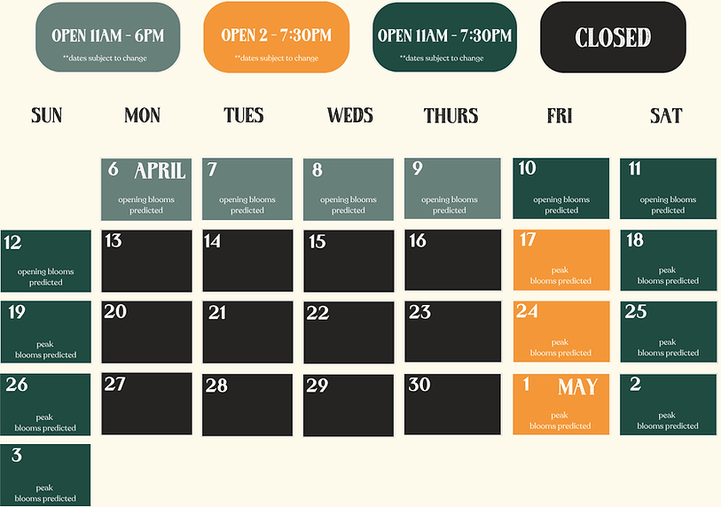 Spring 2026 Calendar-3.png